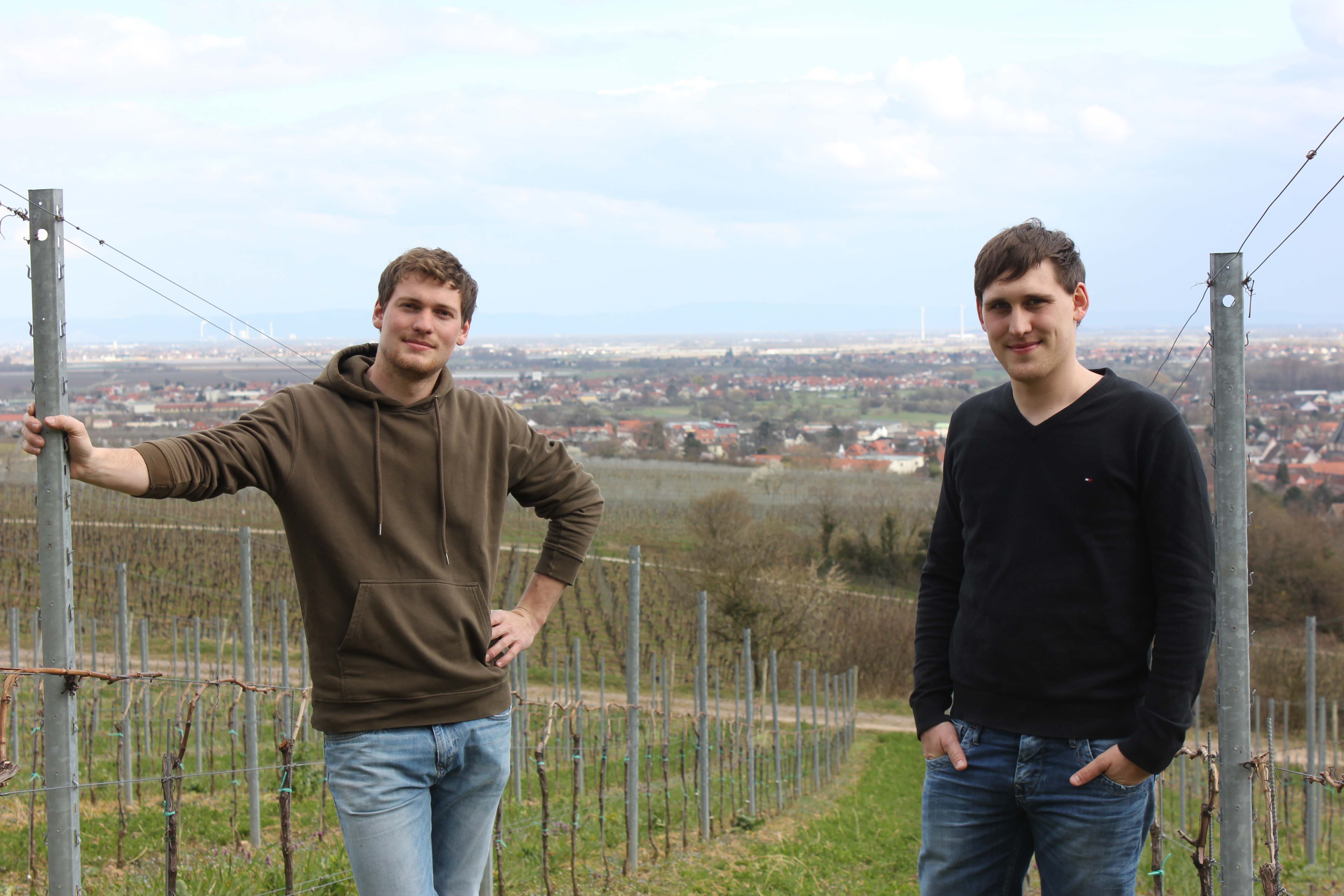Weingut Thomas und Michael Andres, Pfalz